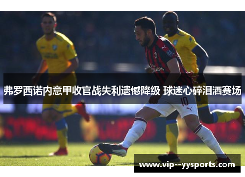 弗罗西诺内意甲收官战失利遗憾降级 球迷心碎泪洒赛场 弗罗西诺内意甲收官战失利遗憾降级 球迷心碎泪洒赛场